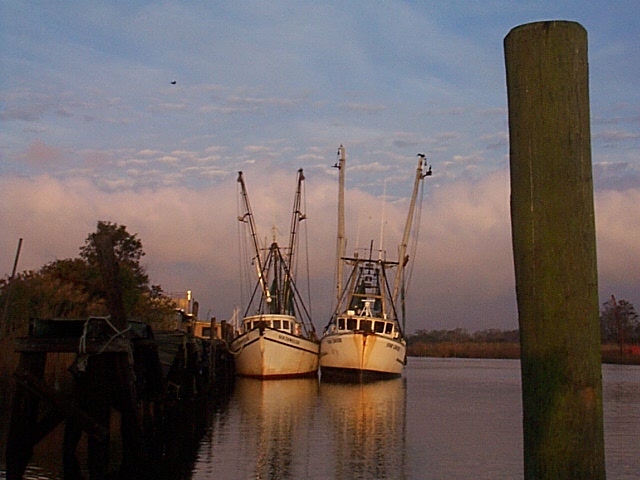 Shrimpers